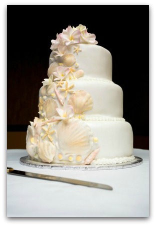 This white cake is accented with some very light pastel pink seashells and 